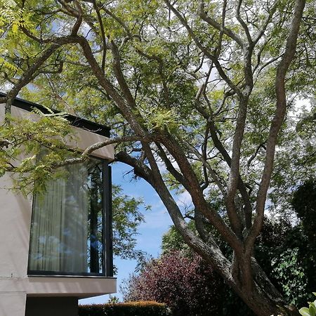 Fresh Apartment Cape Town Exterior photo